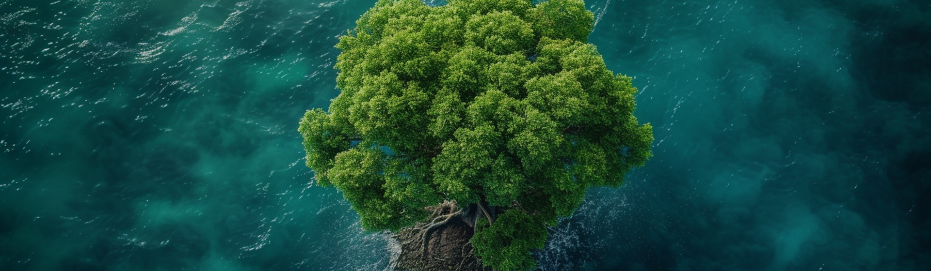 Ningbo Aikang Aluminium Foilus Technology Co., Ltd.